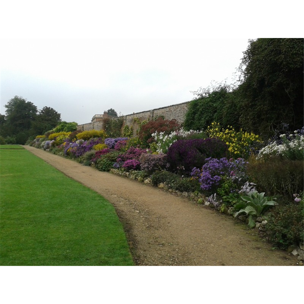 June 13th 2025 herbaceous borders old new waterperry gardens